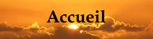 Accueil